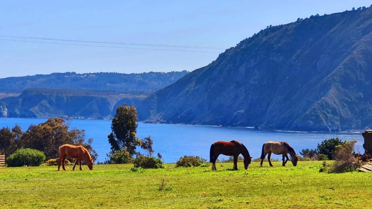 Cabaña en Tunquén, bosque, piscina y vista al mar Exterior foto