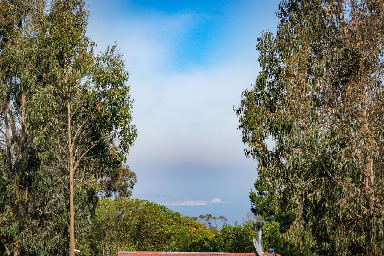 Cabaña en Tunquén, bosque, piscina y vista al mar Exterior foto