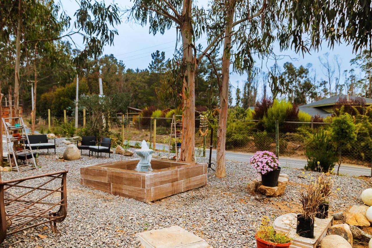 Cabaña en Tunquén, bosque, piscina y vista al mar Exterior foto